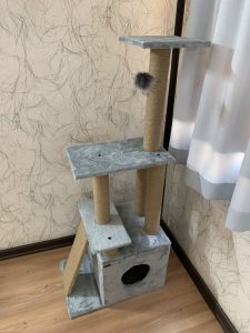 اسکرچر گربه هیوا پت مدل b38