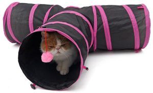 تونل گربه