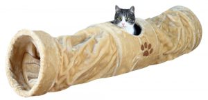 تونل گربه