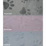 رنگ پارچه